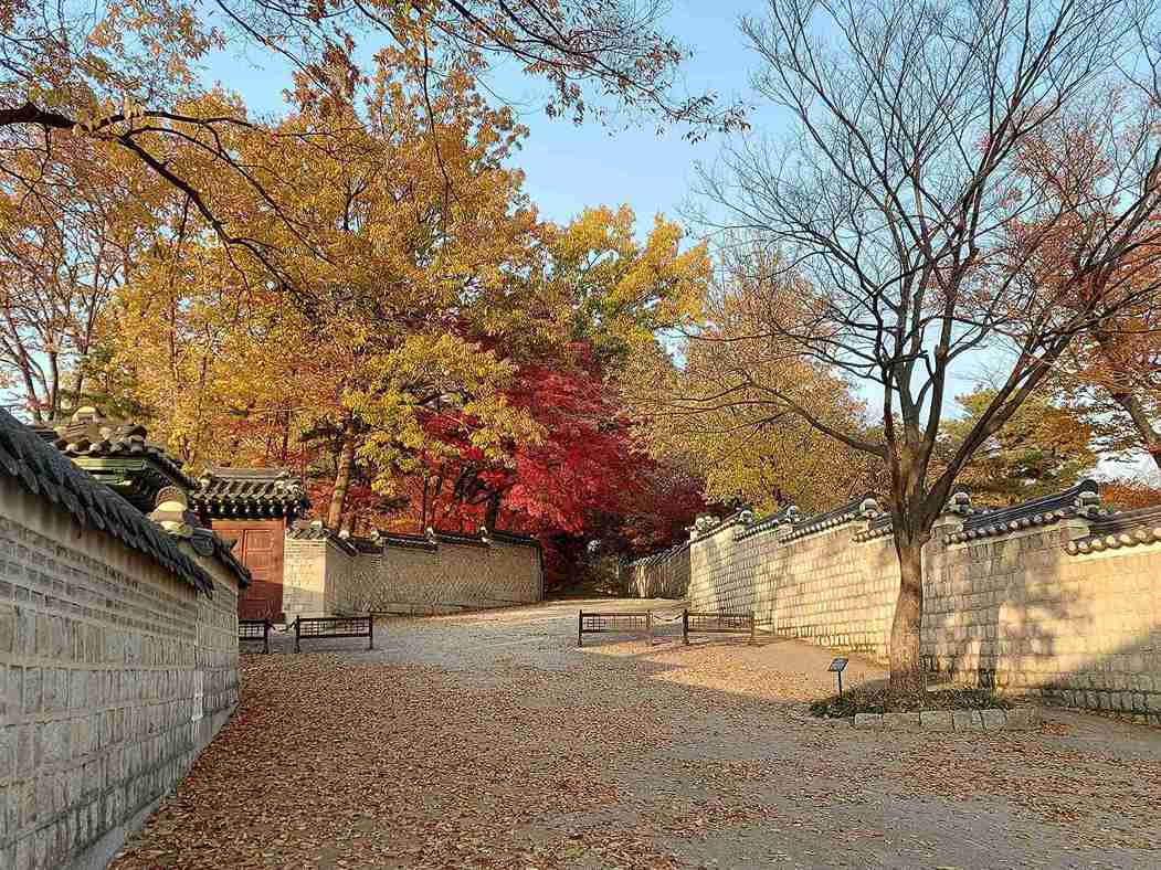 8 Fun Activities to do in Autumn in Seoul 🇰🇷